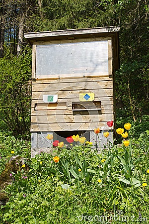 Bees flying into a beehive Stock Photo