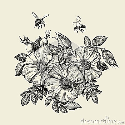 Bees flying to the flower. Hand drawn beekeeping. Vector illustration Vector Illustration