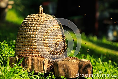 Bees in hey beehive Stock Photo