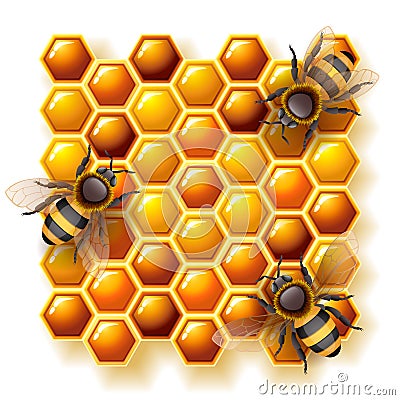 Bees and honey Vector Illustration