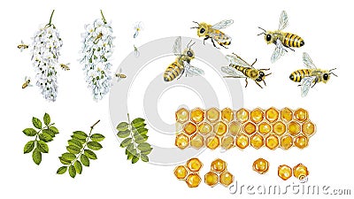 Bees Cartoon Illustration