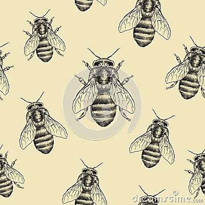 Bees texture. Seamless pattern. Realistic graphic illustration. Background Cartoon Illustration