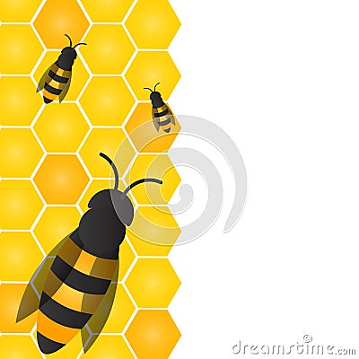 Bees, wasps and honeycombs with honey. Vector Vector Illustration