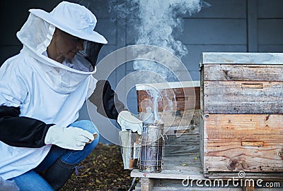 Bees, woman and smoke for honey, agriculture production and eco sustainability process in environment. Beekeeper in suit Stock Photo