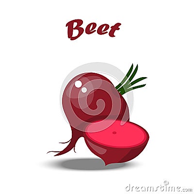 Beet or beetroot Vector Illustration