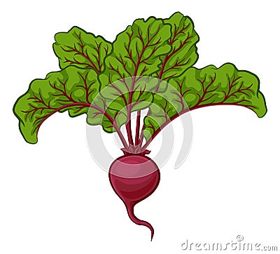 Beet Or Beetroot Vegetable Cartoon Illustration Vector Illustration