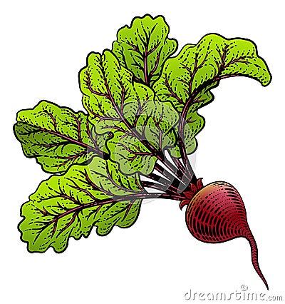 Beet Beetroot Vegetable Woodcut Illustration Vector Illustration