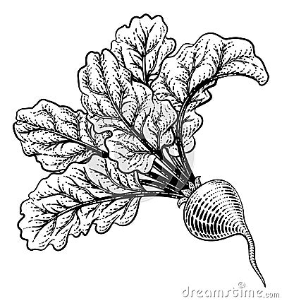 Beet Beetroot Vegetable Woodcut Illustration Vector Illustration