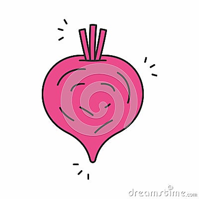 Beet icon Vector Illustration