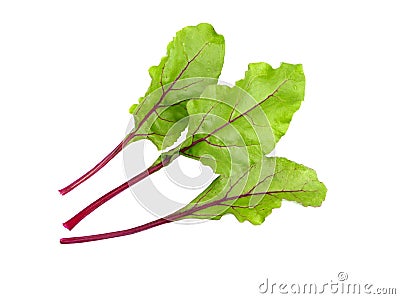 Beet leaves. Beetroot leaves, fresh beet leaf. Stock Photo