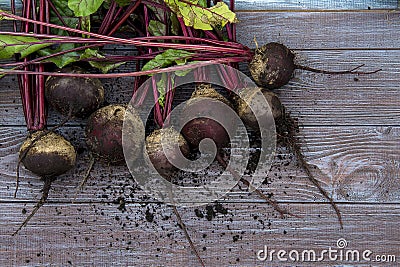 Beet roots Stock Photo