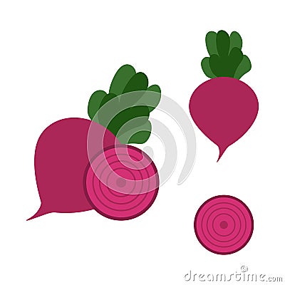 Beet, vector Vector Illustration