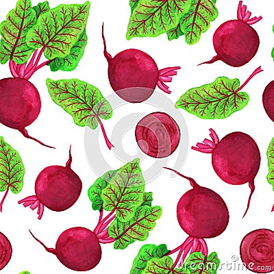 Beet watercolor seamless pattern. Beetroot plant with chard leaves and slices Cartoon Illustration