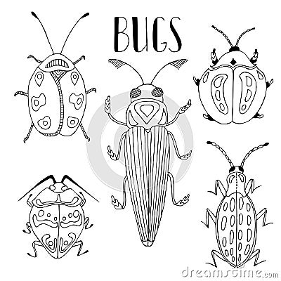 Beetle. Collection of vector beetles and bugs. Vector Illustration