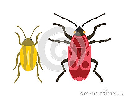 Beetle flat insect bug in cartoon style vector Vector Illustration