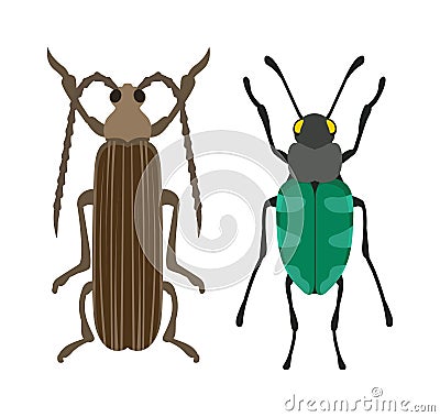 Beetle flat insect bug in cartoon style vector Vector Illustration