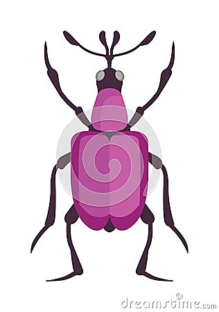 Beetle flat insect bug in cartoon style vector Vector Illustration