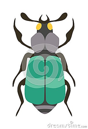 Beetle flat insect bug in cartoon style vector Vector Illustration