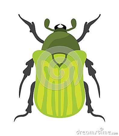 Beetle flat insect bug in cartoon style vector Vector Illustration