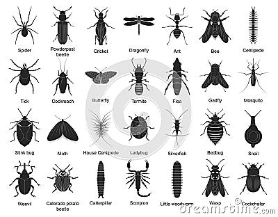 Beetle isolated black set icon. Vector black set icon insect . Vector illustration beetle on white background. Vector Illustration