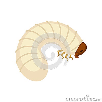 Beetle larva isolated. Bug caterpillar. Maggot vector illustration Vector Illustration