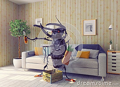 The beetle in the living room Stock Photo