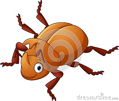 Beetle with sharp horn Vector Illustration