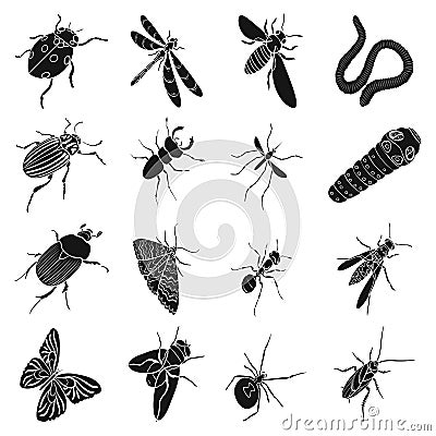 Beetle, wasp, bee, ant, fly, spider, mosquito and other insect species. Various insects set collection icons in black Vector Illustration