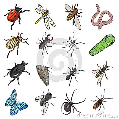 Beetle, wasp, bee, ant, fly, spider, mosquito and other insect species. Various insects set collection icons in cartoon Vector Illustration