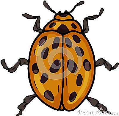 Beetles insects separately on a white background coloring book for children sketch doodle hand Vector Illustration