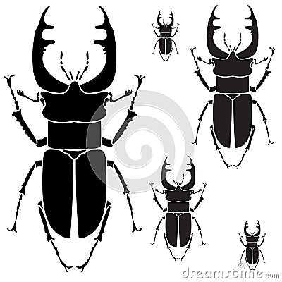 Beetles. Vector Illustration