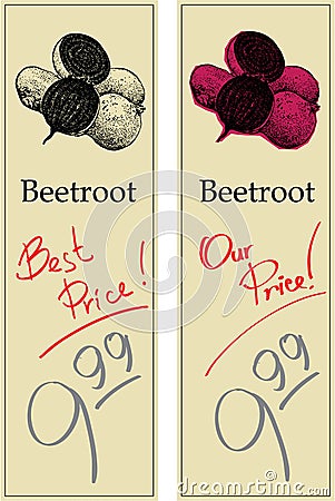 Beetroot Vector Illustration