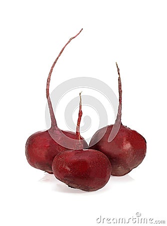 Beetroot, beta vulgaris rubra, Vegetable against White Background Stock Photo