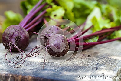 Beetroot Stock Photo