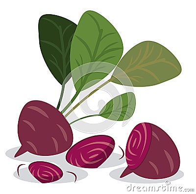 Beetroot healthy vitamins food Vector Illustration