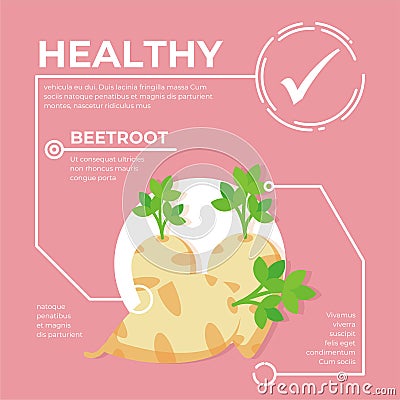 Beetroot infographic vector Design, fresh vegetable Cartoon Illustration