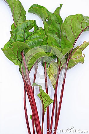 Beetroot Leaves Stock Photo