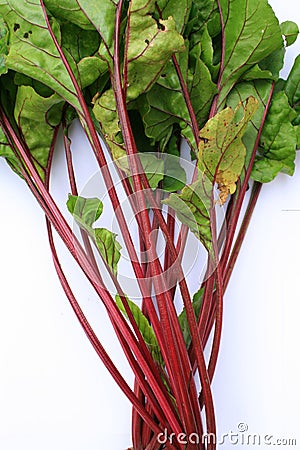 Beetroot Leaves Stock Photo