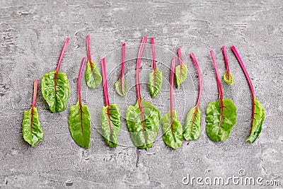 Beetroot leaves Stock Photo