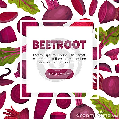 Beetroot Vegetable Crop Banner Design Design Vector Template Vector Illustration