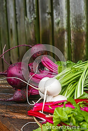 Vertical shot of beets, turnips and greens Stock Photo