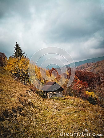 Begin of Autumn Stock Photo