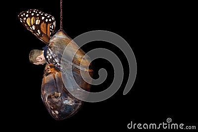 Beginner businessman man in cocoon, butterfly pupa. Startup and venture investment concept with copy space. Stock Photo