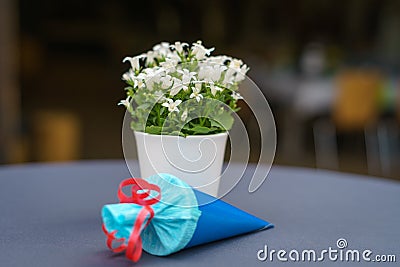 Beginning of school table decoration Stock Photo