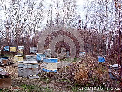 The beginning of spring at the old apiary. Stock Photo