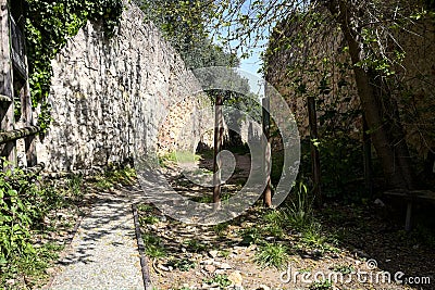 Beginning of a trail between stone walls with an arching tree and a bench on a sunny day in spring Stock Photo