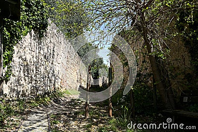 Beginning of a trail between stone walls with an arching tree and a bench on a sunny day in spring Stock Photo