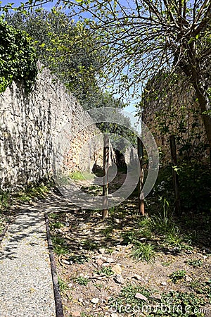 Beginning of a trail between stone walls with an arching tree and a bench on a sunny day in spring Stock Photo