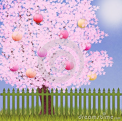 Cherry tree full of flowers and Japanese lanterns Stock Photo