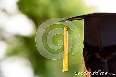 Behind photo of university graduate wears gown and black cap, ye Stock Photo